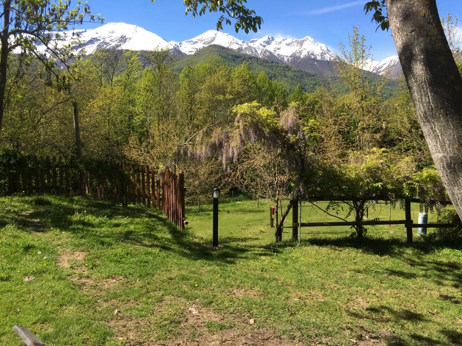 Il Sole — photo 3